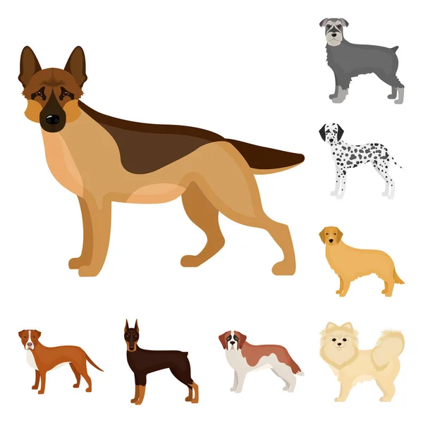 Hundraser tecknad ikoner i set samling för design. Hund husdjur vektor symbol lager web illustration. — Stock vektor
