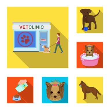 Set koleksiyonu tasarım için evde beslenen hayvan düz simgeler. Bakım ve eğitim sembol stok web illüstrasyon vektör.