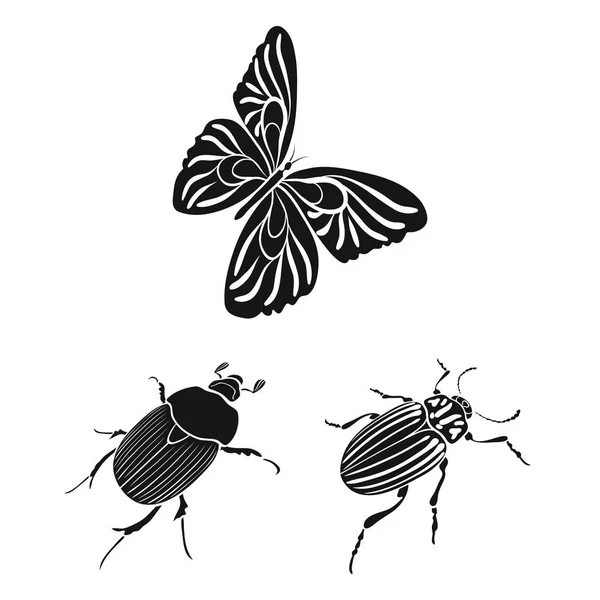 Verschillende soorten insecten zwarte pictogrammen in set collectie voor design. Geleedpotigen insect isometrische symbool voorraad web vectorillustratie. — Stockvector