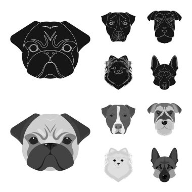 Farklı doğurmak-in köpek ağızlık. Köpek doğurmak Stafford, Spitz, Risenschnauzer, Alman çoban ayarlamak toplama simgeler siyah, tek renkli stil vektör simge stok çizim web içinde.