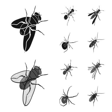 Böcek bir Eklem bacaklılar, bir osa, bir örümcek, Hamam böceği. Böcekler toplama simgeler siyah, tek renkli stil vektör simge stok izometrik çizim web içinde ayarla..