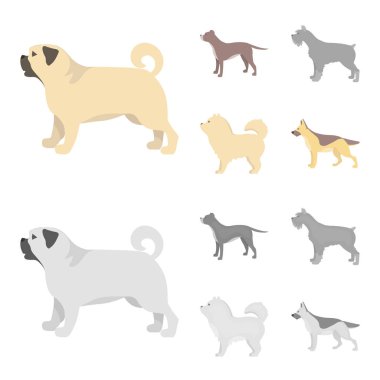 Çukur boğa, Alman çoban, chow chow, schnauzer. Köpek ırkları toplama simgeler çizgi film, tek renkli stil vektör simge stok çizim web ayarla..
