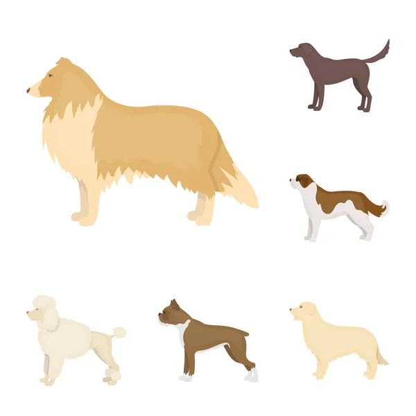 Perro razas iconos de dibujos animados en conjunto de colección para design.Dog mascota vector símbolo stock web ilustración . — Vector de stock