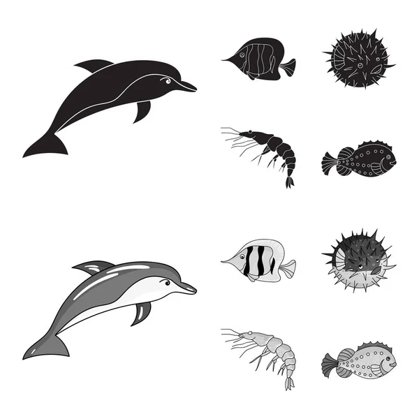 Garnelen, Fische, Igel und andere Arten.Meerestiere setzen Sammlung Symbole in schwarz, monochromen Stil Vektor Symbol Stock Illustration Web. — Stockvektor