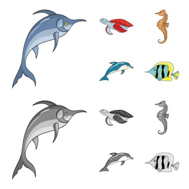 Merlin, kaplumbağa ve diğer türler. Deniz hayvanları toplama simgeler çizgi film, tek renkli stil vektör simge stok çizim web ayarla..