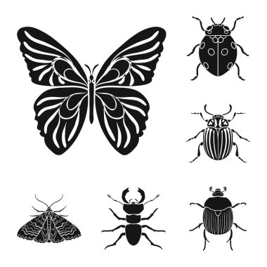 Çeşitli böcekler set koleksiyonu tasarım için simgeler siyah. Böcek Eklem bacaklılar vektör simge stok web çizimi.