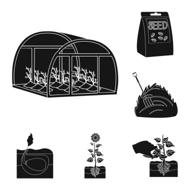 Set koleksiyonu tasarım için simgeler siyah çiftlik ve tarım. Bahçe ve bitki izometrik vektör simge stok web çizim.