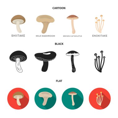 Shiitake, kahverengi kap çörek, enokitake, süt. çizgi film, siyah, düz stil vektör simge stok çizim web simgeler ayarla.