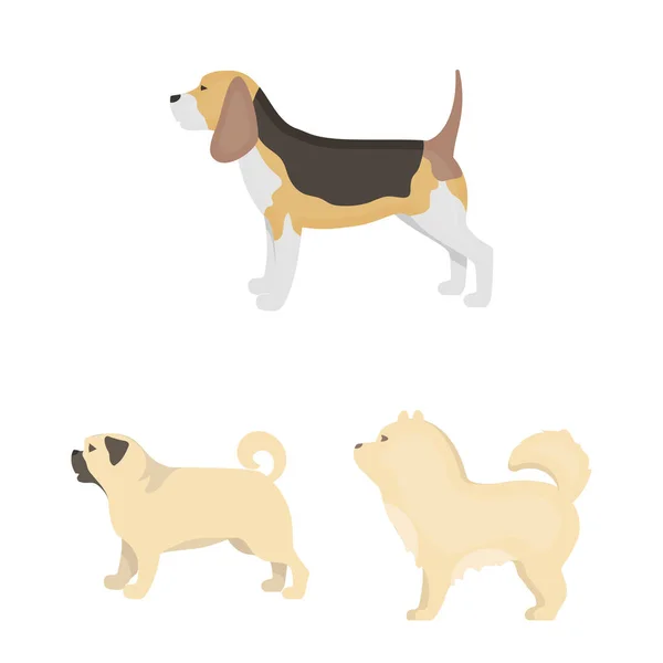 Perro razas iconos de dibujos animados en conjunto de colección para design.Dog mascota vector símbolo stock web ilustración . — Vector de stock