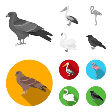 Çaylak, pelikan, flamingo, kuğu. Kuşlar toplama simgeler tek renkli, düz stil vektör simge stok çizim web ayarla..