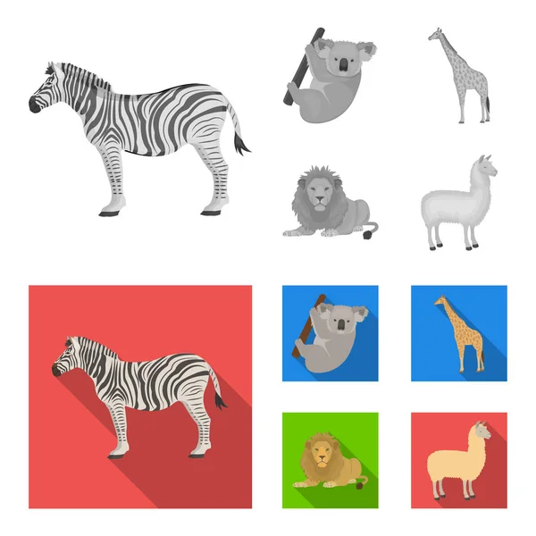 Cebra africana, koala animal, jirafa, depredador salvaje, león. Animales salvajes set colección iconos en monocromo, plano estilo vector símbolo stock ilustración web . — Archivo Imágenes Vectoriales