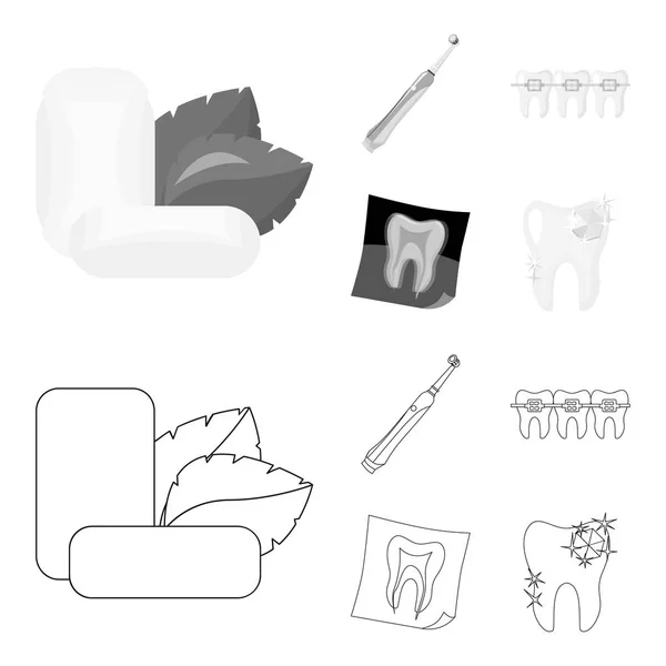 Goma de mascar de menta con hojas de menta, cepillo de dientes con cerdas, bregettes con dientes, rayos X del diente. cuidado dental conjunto colección iconos en el contorno, el estilo monocromo vector símbolo stock ilustración web — Vector de stock