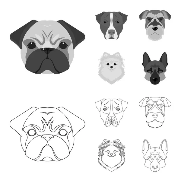 Farklı doğurmak-in köpek ağızlık. Köpek doğurmak Stafford, Spitz, Risenschnauzer, Alman çoban köpeği anahat, tek renkli stil vektör simge stok çizim web simgeler ayarla.