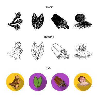 Karanfil, defne yaprağı, küçük hindistan cevizi, tarçın. Otlar ve baharatlar toplama simgeler karikatür tarzı vektör simge stok çizim web içinde ayarla.
