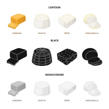 Mozzarella peyniri, beyaz peynir, kaşar peyniri, ricotta. Farklı peynir toplama simgeler çizgi film, siyah, tek renkli stil vektör simge stok çizim web içinde ayarla..