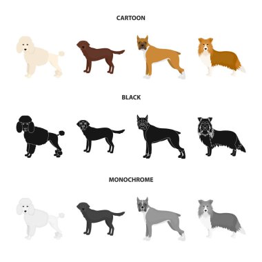 Köpek ırkları set koleksiyonu tasarım için çizgi film, siyah, tek renkli simgeler. Köpek evde beslenen hayvan vektör simge stok web çizim.
