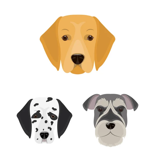 Kutyafajták ikonok beállítása gyűjtemény, design rajzfilm. Orr-ból egy kutya vektor szimbólum állomány honlap illusztráció. — Stock Vector