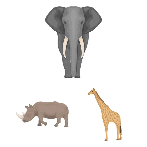 Olika djur tecknad ikoner i set samling för design. Fågel, rovdjur och växtätare vektor symbol lager web illustration. — Stock vektor