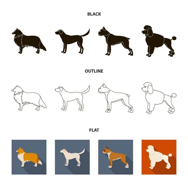 Collie, labrador, boxeador, caniche. Perro razas conjunto colección iconos en dibujos animados estilo vector símbolo stock ilustración web . — Vector de stock