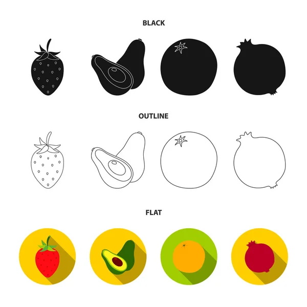 Fresa, bayas, aguacate, naranja, granada. Iconos de la colección conjunto de frutas en el estilo de dibujos animados vector símbolo stock illustration web . — Archivo Imágenes Vectoriales