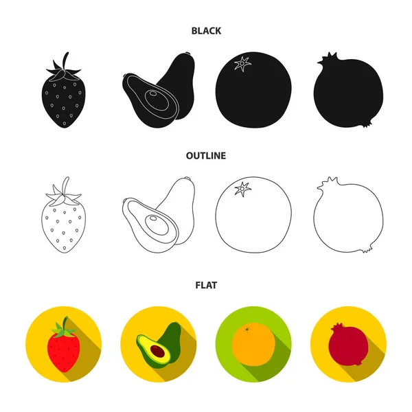 딸기, 베리, 아보카도, 오렌지, 석류. 과일 만화 스타일 벡터 기호 재고 일러스트 웹 컬렉션 아이콘 설정. — 스톡 벡터