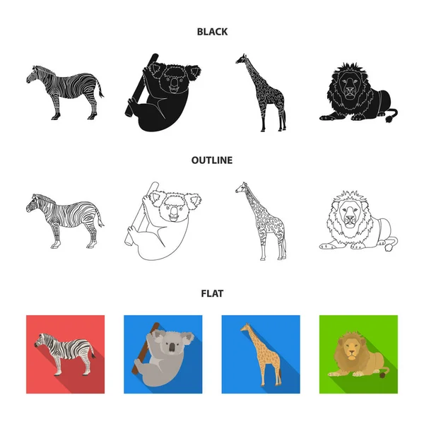 Cebra africana, koala animal, jirafa, depredador salvaje, león. Animales salvajes conjunto colección iconos en el estilo de dibujos animados vector símbolo stock ilustración web . — Archivo Imágenes Vectoriales