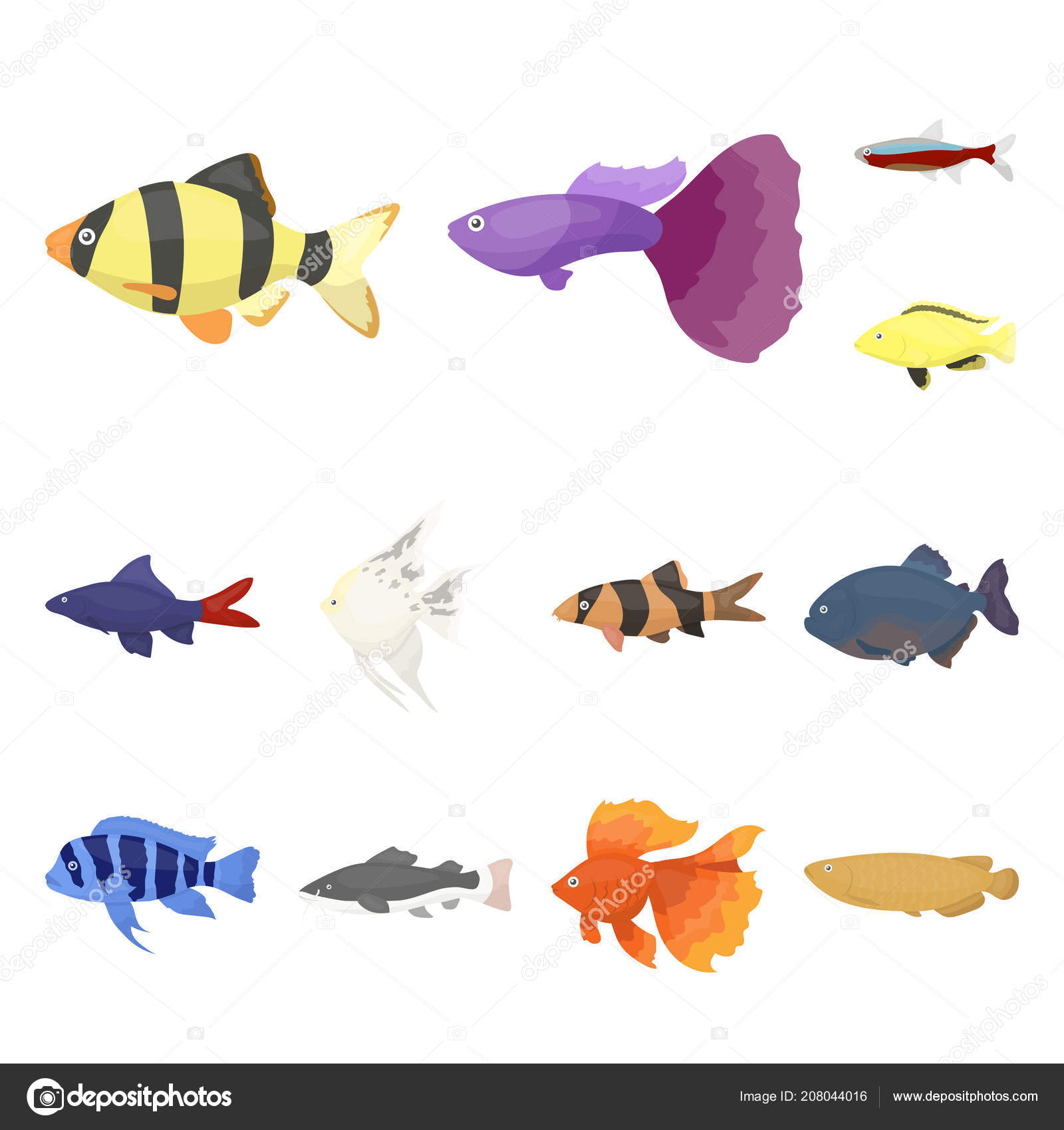Diferentes tipos de iconos de dibujos animados de peces en la colección de  conjuntos para el diseño. Marino y acuario peces vector símbolo stock web  ilustración . vector, gráfico vectorial © PandaVector