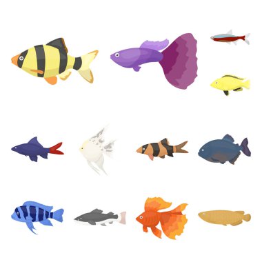 Farklı türde balık set koleksiyonu tasarım için simgeleri karikatür. Deniz ve akvaryum balık sembol stok web illüstrasyon vektör.
