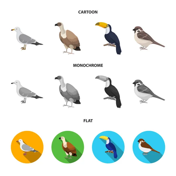Gull, toucan and other species. Birds set collection icons in cartoon,flat,monochrome style vector symbol stock illustration web. — Stock Vector