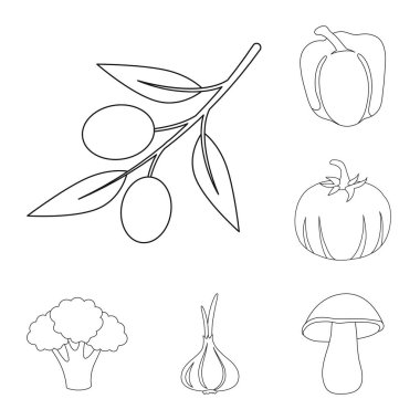 Sebze çeşitleri set koleksiyonu tasarım için simgeleri anahat. Sembol stok web illüstrasyon vektör sebze ve vitaminler.