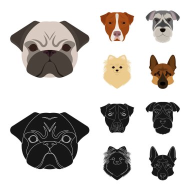 Farklı doğurmak-in köpek ağızlık. Köpek doğurmak Stafford, Spitz, Risenschnauzer, Alman çoban çizgi film, siyah stil vektör simge stok çizim web simgeler ayarla.