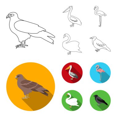 Çaylak, pelikan, flamingo, kuğu. Kuşlar toplama simgeler anahat, düz stil vektör simge stok çizim web ayarla..