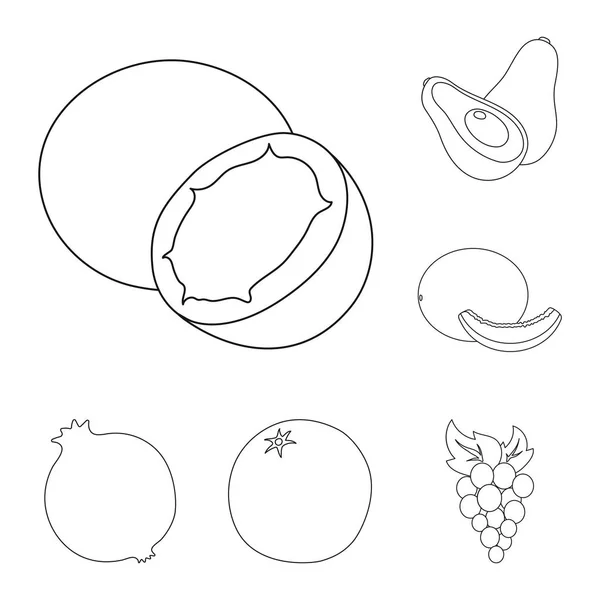 Diferentes frutas esbozan iconos en la colección de conjuntos para el diseño. Frutas y vitaminas vector símbolo stock web ilustración . — Vector de stock