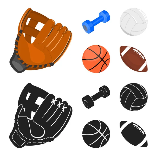 Синий гантель, белый футбольный мяч, баскетбол, регби. Иконки коллекции спортивных наборов в мультфильме, черном стиле векторных символов фондового иллюстрации веб . — стоковый вектор