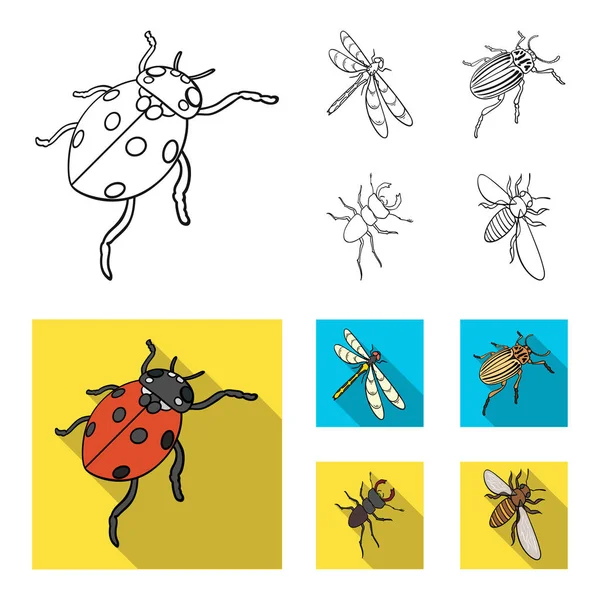 Členovců hmyzu berušky, vážky, brouk, Mandelinka, hmyz sada kolekce ikon v osnově, plochý vektor symbol akcií izometrické ilustrace web. — Stockový vektor