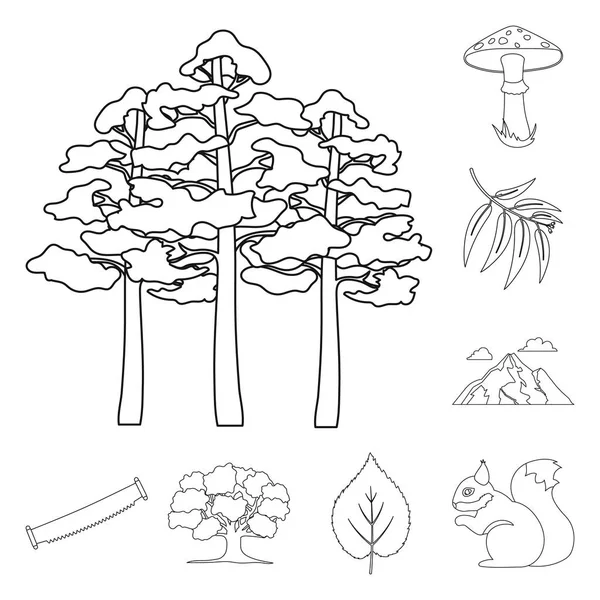 Δάσος και φύση περίγραμμα εικονίδια στη συλλογή σετ για σχεδιασμό. Δάσος ζωή διάνυσμα σύμβολο μετοχής web εικονογράφηση. — Διανυσματικό Αρχείο