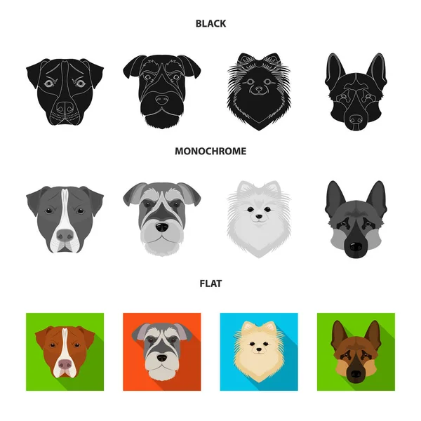 Ρύγχος από διαφορετικές φυλές σκύλων. Dog φυλή Stafford, Spitz, Risenschnauzer, Γερμανικοί ποιμενικοί set συλλογή εικονιδίων σε μαύρο χρώμα, επίπεδη, μονόχρωμη στυλ διάνυσμα σύμβολο μετοχής εικονογράφηση web. — Διανυσματικό Αρχείο
