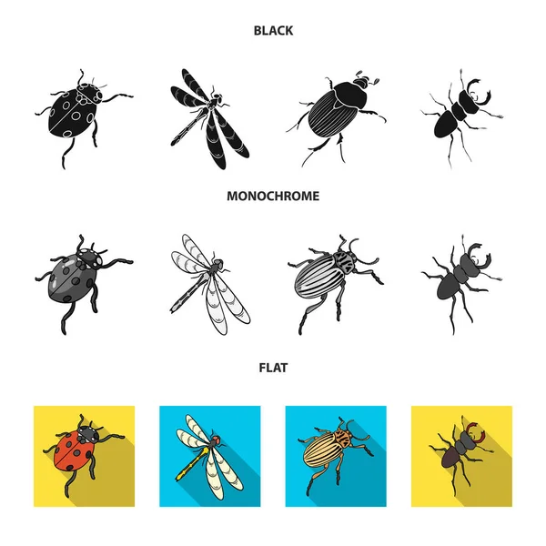 Arthropods Insect ladybird, dragonfly, beetle, Colorado beetle Insects set collection icons in black, flat, monochrome style vector symbol stock isometric illustration web. — Stock Vector