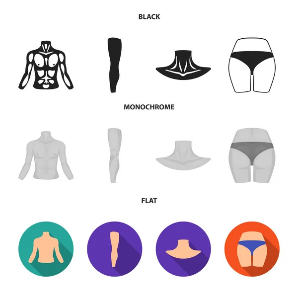 Torso, pierna, cuello y nalgas. Partes del cuerpo conjunto de iconos de colección en negro, plano, monocromo estilo vector símbolo stock ilustración web . — Archivo Imágenes Vectoriales