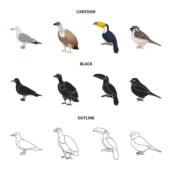 Gaviota, tucán y otras especies. Pájaros conjunto colección iconos en dibujos animados, negro, contorno estilo vector símbolo stock ilustración web . — Archivo Imágenes Vectoriales