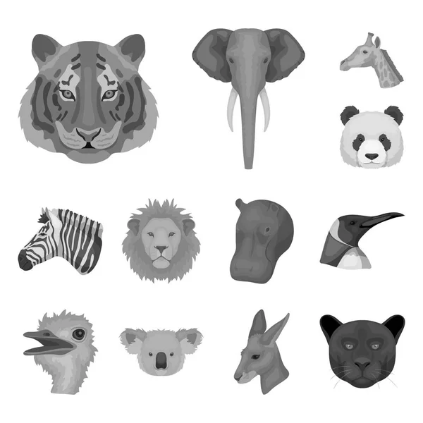 Divokých zvířat černobílé ikony v kolekce sady pro design. Savců a ptáků symbol akcií webové vektorové ilustrace. — Stockový vektor