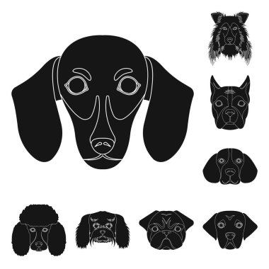 Köpek ırkları set koleksiyonu tasarım için simgeler siyah. Bir köpek vektör simge stok web illüstrasyon namlu.