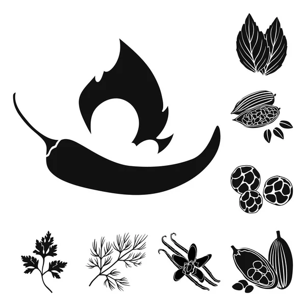 Kräuter und Gewürze schwarze Symbole im Set Kollektion für Design. Verschiedene Arten von Gewürzen Vektor-Symbol Stock Web-Illustration. — Stockvektor