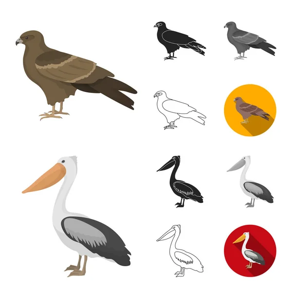 Arten von Vögeln Cartoon, schwarz, flach, monochrom, Umrisse Symbole in Set-Sammlung für das Design. Haus und Wildvogel Vektor Symbol Stock Web Illustration. — Stockvektor