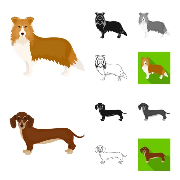 Pies rasy kreskówka, czarny, z płaskim, monochromatyczne, zarys ikony w kolekcja zestaw do projektowania. Pies pieścić wektor symbol akcji web ilustracja. — Wektor stockowy