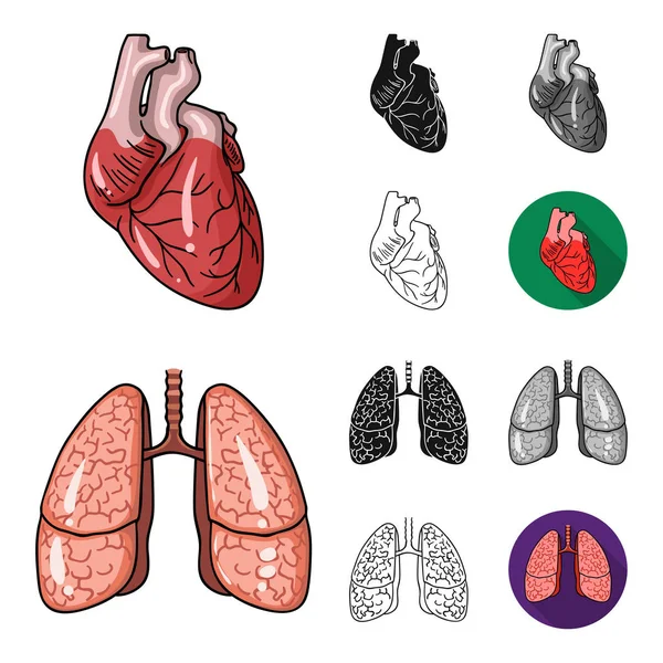 Organes humains dessin animé, noir, plat, monochrome, icônes contour dans la collection de jeu pour la conception. Anatomie et organes internes symbole vectoriel stock web illustration . — Image vectorielle