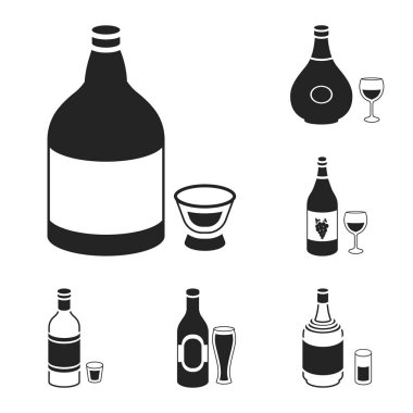 Set koleksiyonu tasarım için alkol siyah simgeler türleri. Alkol şişeleri vektör simge stok web çizimde.