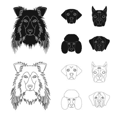 Farklı doğurmak-in köpek ağızlık. Kömür ocağı doğurmak köpek, lobladore, fino köpeği, boksör seti toplama simgeler siyah, anahat stili vektör simge stok çizim .
