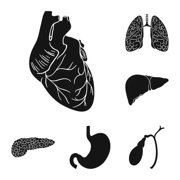 Menschliche Organe schwarze Ikonen in Set-Kollektion für Design. Anatomie und innere Organe Vektor Symbol Stock Web Illustration. — Stockvektor