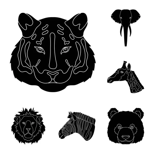 Animaux sauvages icônes noires dans la collection ensemble pour le design. Illustration web du symbole vecteur mammifère et oiseau . — Image vectorielle